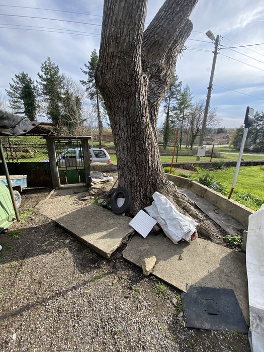 Орехов материал - ствол