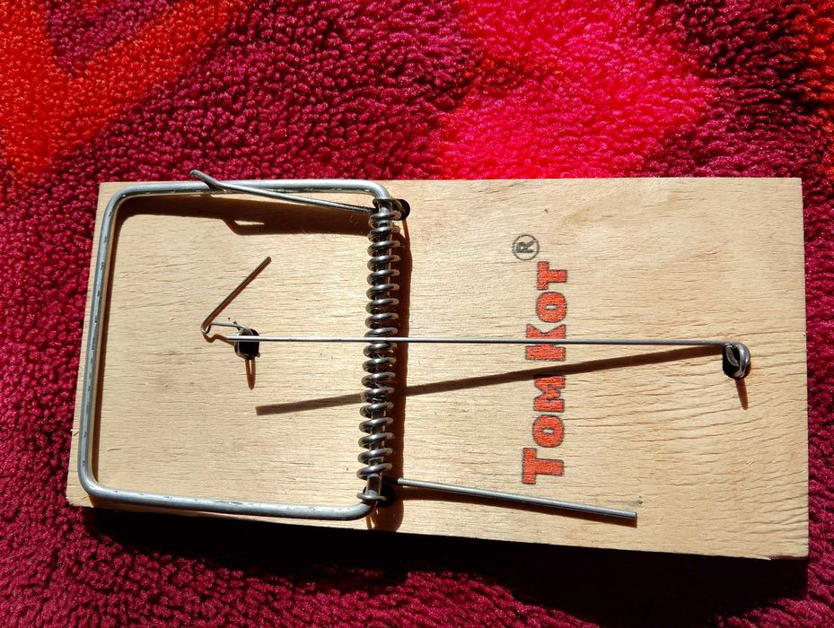 Продам мышеловку .