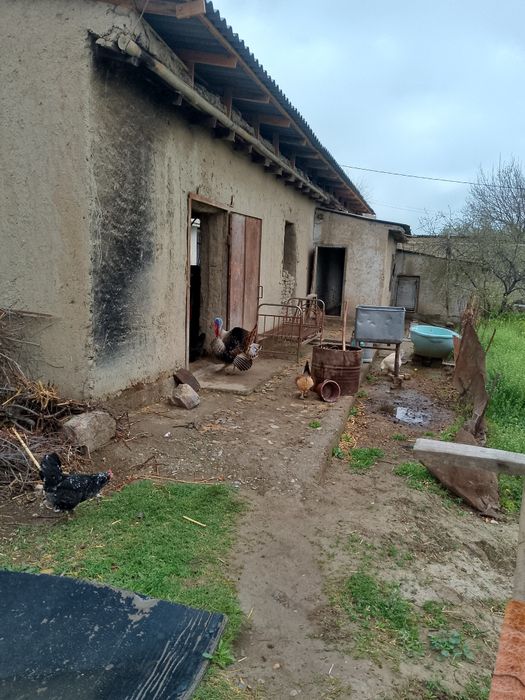 Indyuk sotiladi 400 000