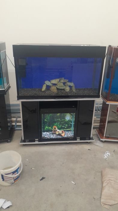 Akvarium 250 litr 6 oyna
Qôship beraman dõmik  
Tosh filter chipiyõn s