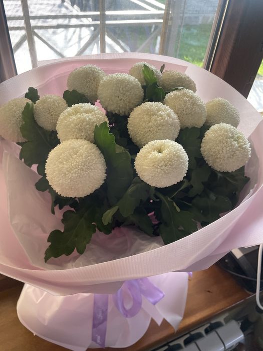 Цветы срочно продаю!