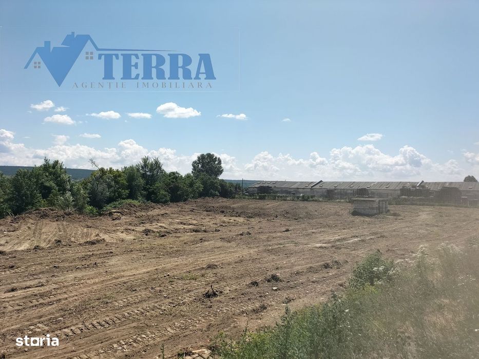 Teren intravilan 7.500 mp | DN73 | 4 km de Dacia Mioveni