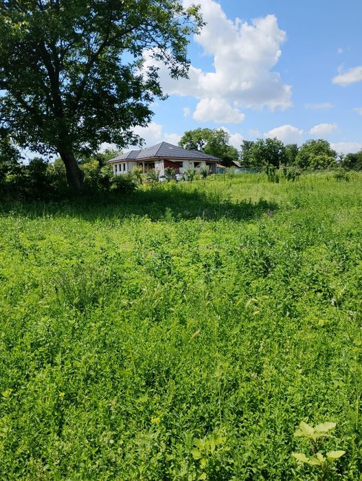 TEREN ieftin intravilan  NICSENI aproape de Botoșani