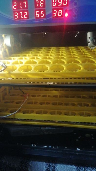 110 talik    Inkubator sotiladi holati yangidek