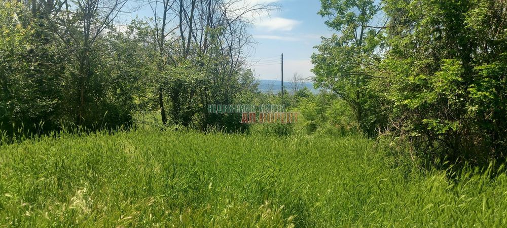 Продава се Парцел в с. Кривня, Област Варна - 2620 кв.м за 10 €/кв.м - Снимка #4