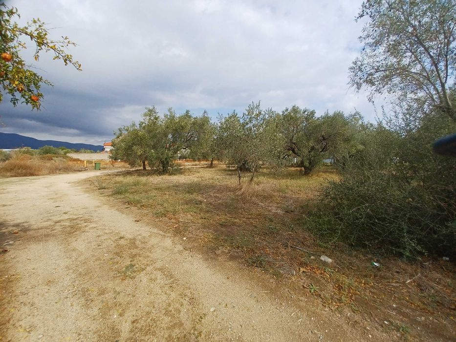 Продава се парцел 680 м2 в регулация в Неа Врасна, Гърция