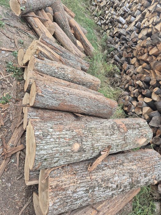 Lemne de foc doar esente tari