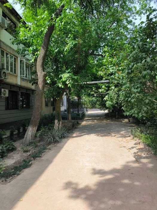 ' Продается 1 комнатная квартира 3/3, вторичка ЦУМ УЛ, Самарканд.