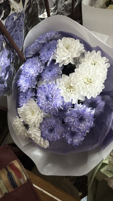 Продам красивые цветы бы