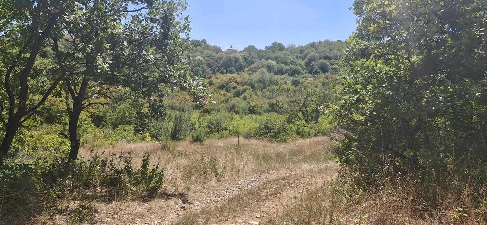 Продава се Парцел в с. Малка Верея, Област Стара Загора - 10000 кв.м за 18 €/кв.м - Снимка #1