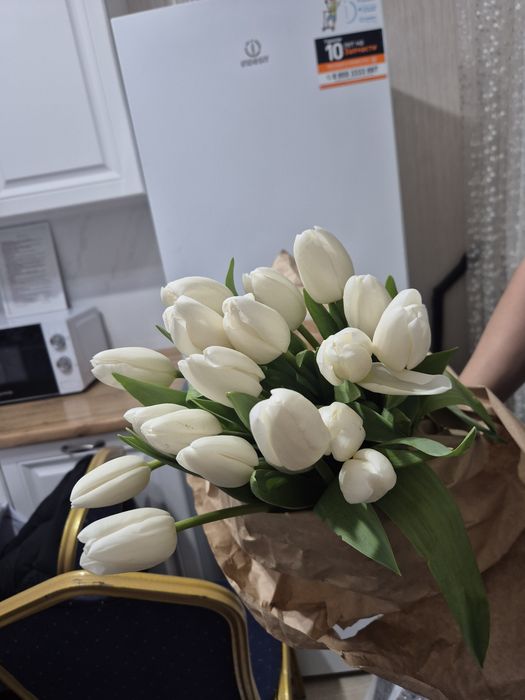 Тюльпаны свежие местные