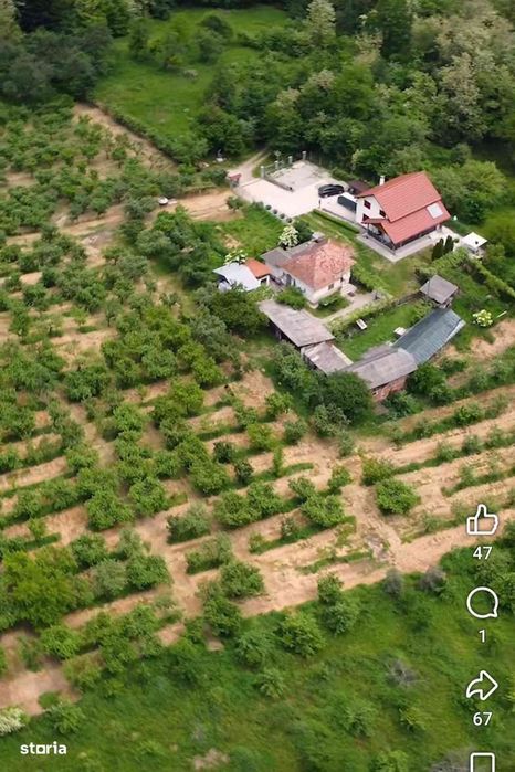 Teren 31.508 mp + Casă! 295.000 E Com. Golești, Sat Opătești, Vâlcea.