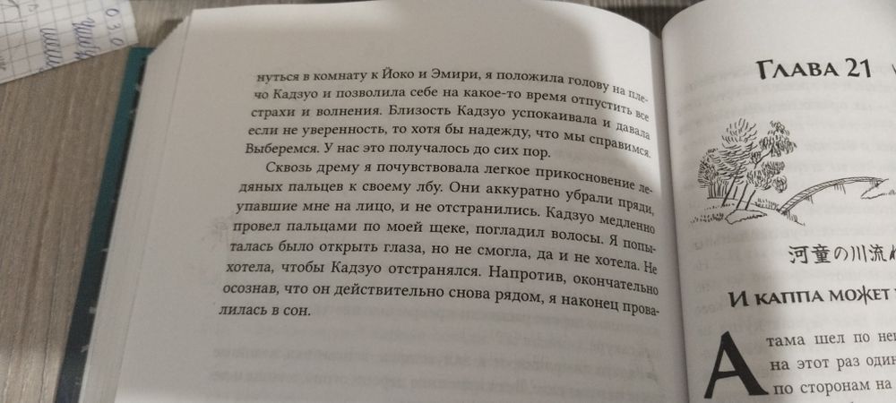 Книги Вероника и Ангелина Шэн