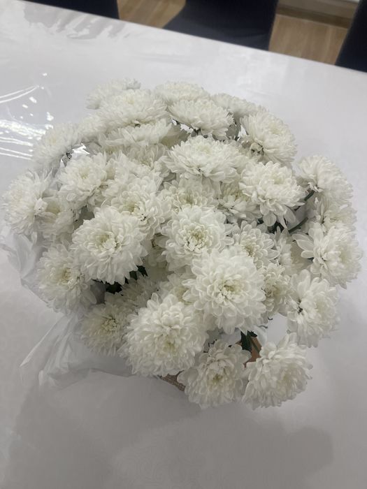 Гүл срочна продам