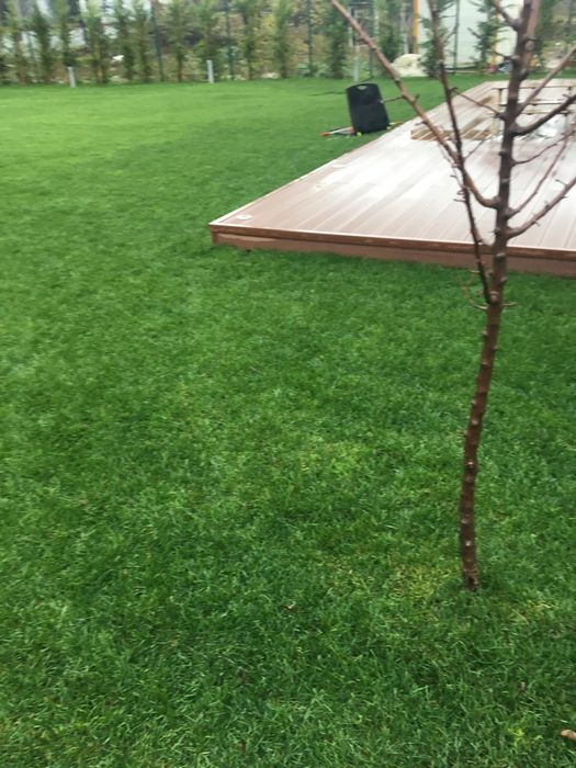 Servicii Profesionale pentru Curtea Ta de Vis!