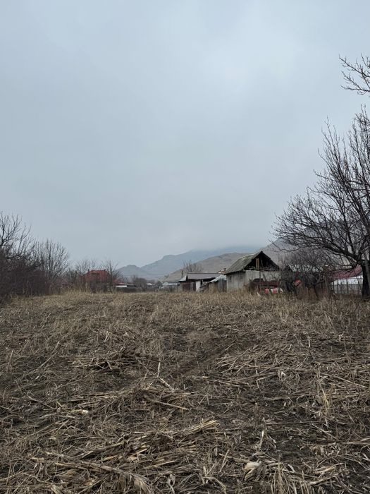 Investiție Premium la Poalele Munților Măcin