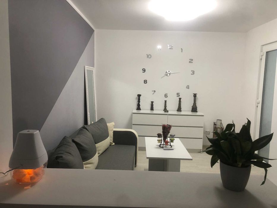 Apartamente de lux in regim hotelier