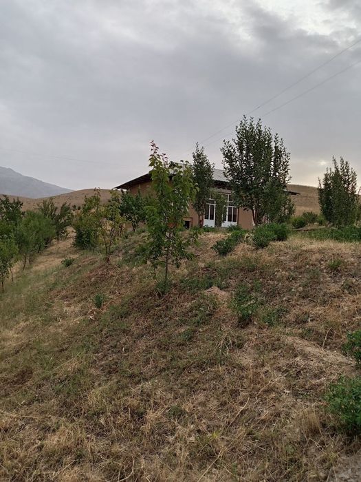 Srochna Uy sotiladi 300 mln kami bor