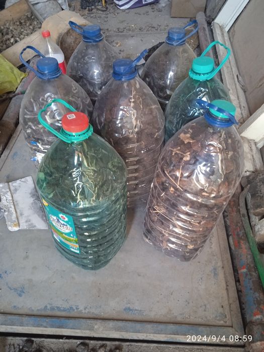 Урик коки Натурални Сушенний Абрекозни