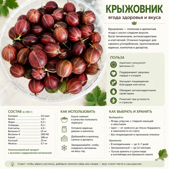 Продам крыжовник
