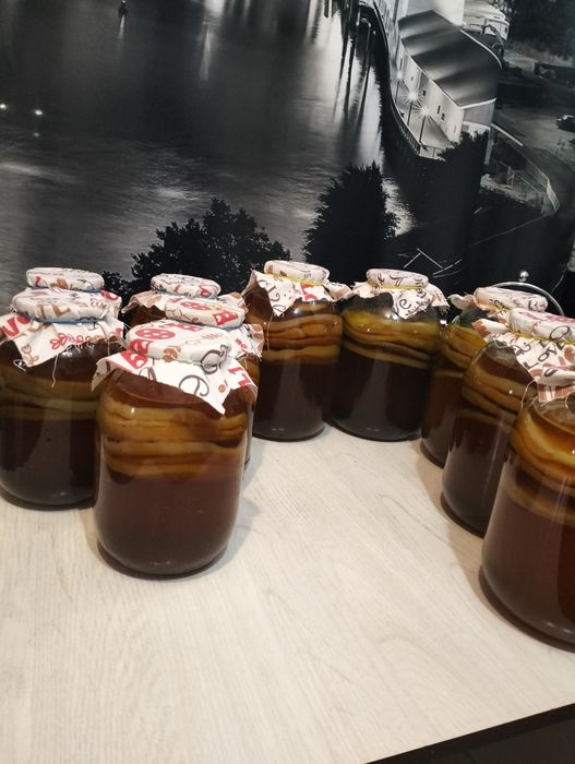 Продаю Чайный гриб