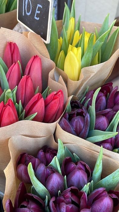 Тюльпаны по низким ценам