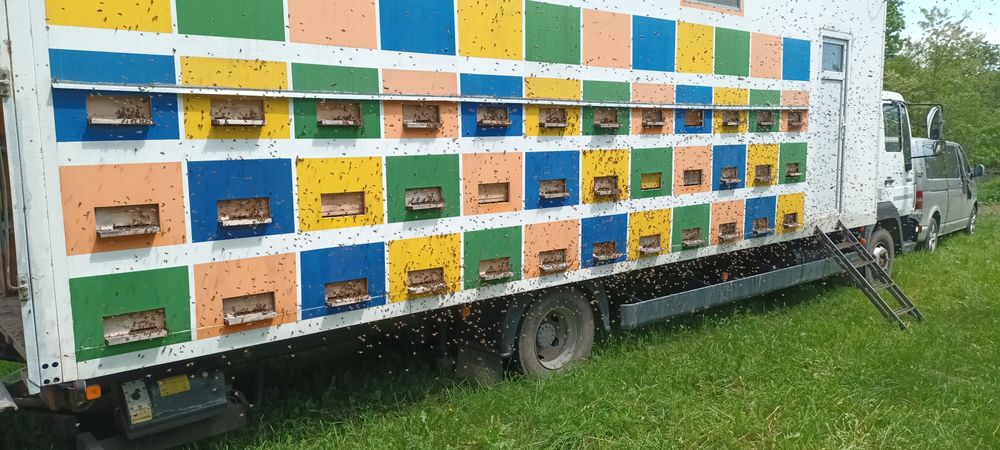 Miere de albine naturală 100%