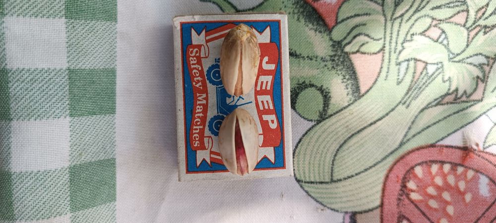 Pista uruglar sotlad ..