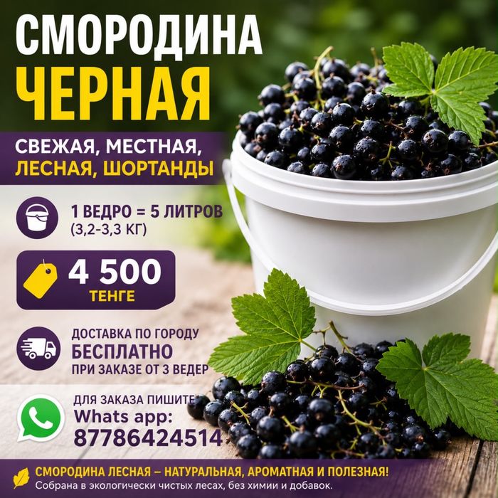 Смородина свежая