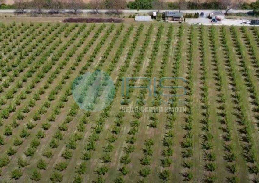 Продава се Земеделски имот в с. Осмар, Област Шумен -  кв.м за 4330 €/дка - Снимка #6