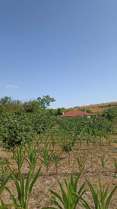 Продава се Къща в с. Мали извор, Област Добрич - 40 кв.м за 319 €/кв.м - Снимка #5