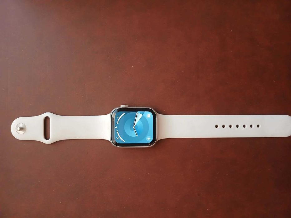 Apple Watch / Series 5 Silver / 44mm