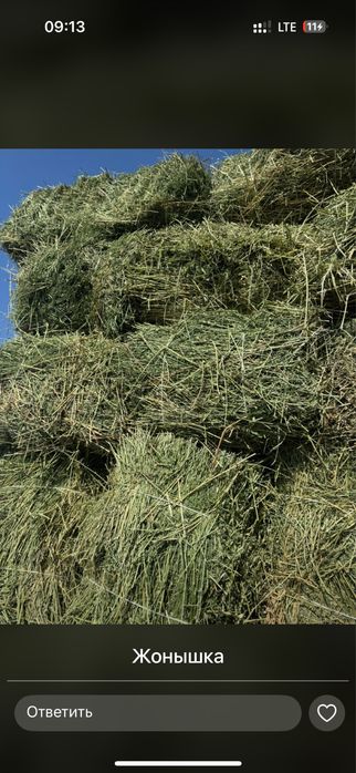 Жонышка,жай шоп