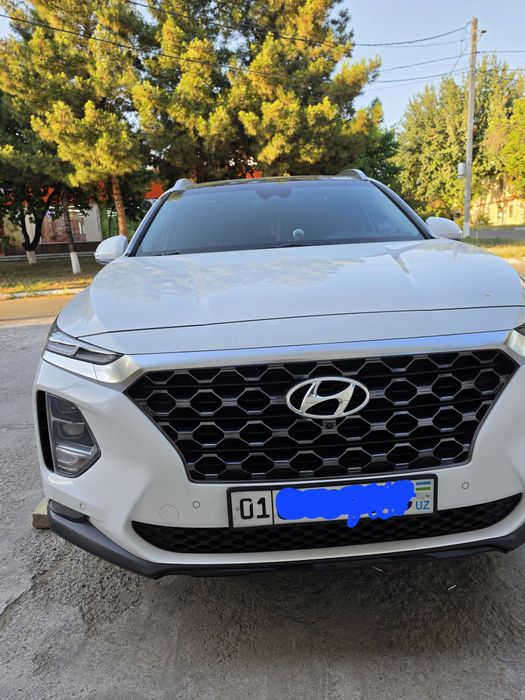 Hyundai santafe 2020