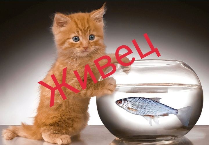 Живец для рыбалки...