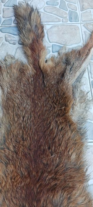 Кожа от лисица за украса