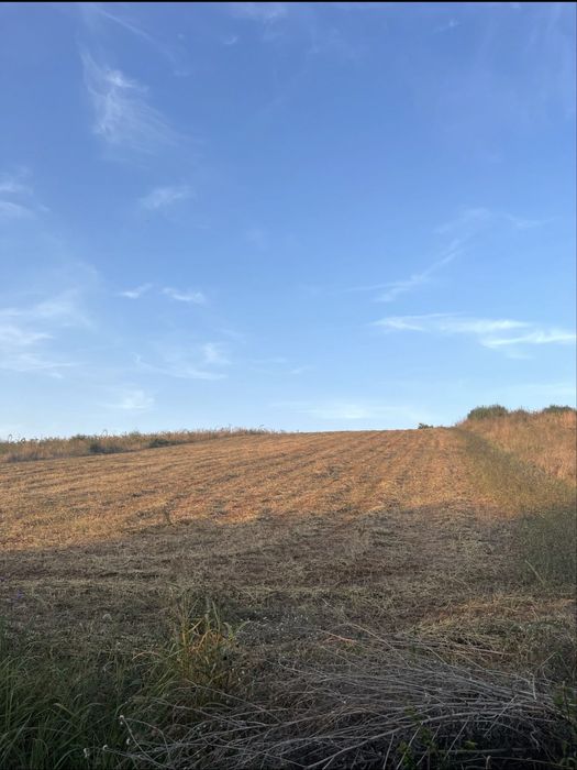 Teren Calea Bihorului Oradea