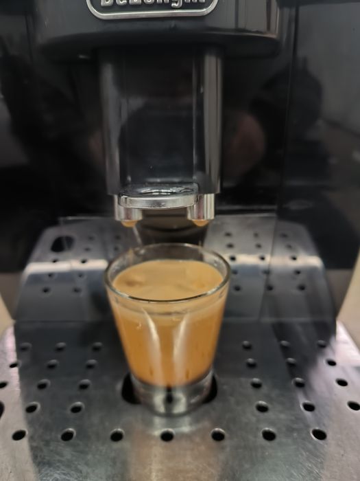 Delonghi Magnifica S