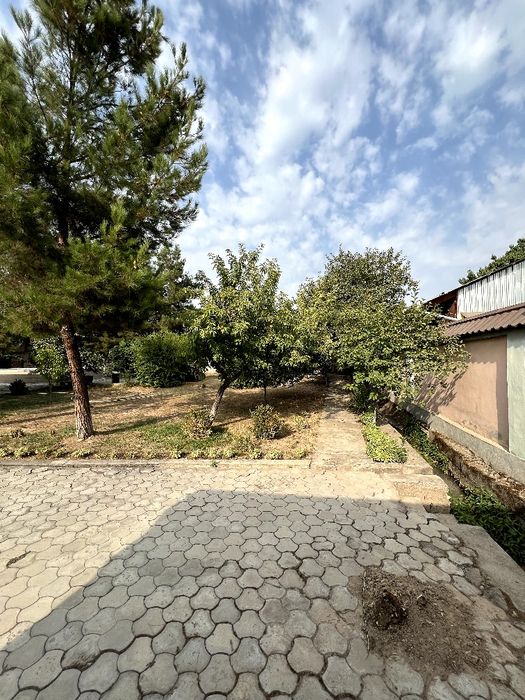 Курук йер 5 сотих