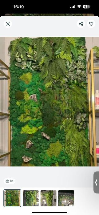 Продам пано из мха