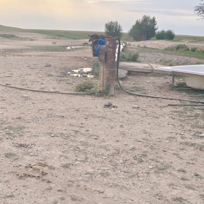 Кашар, Фазенда, Жер, 120гектар