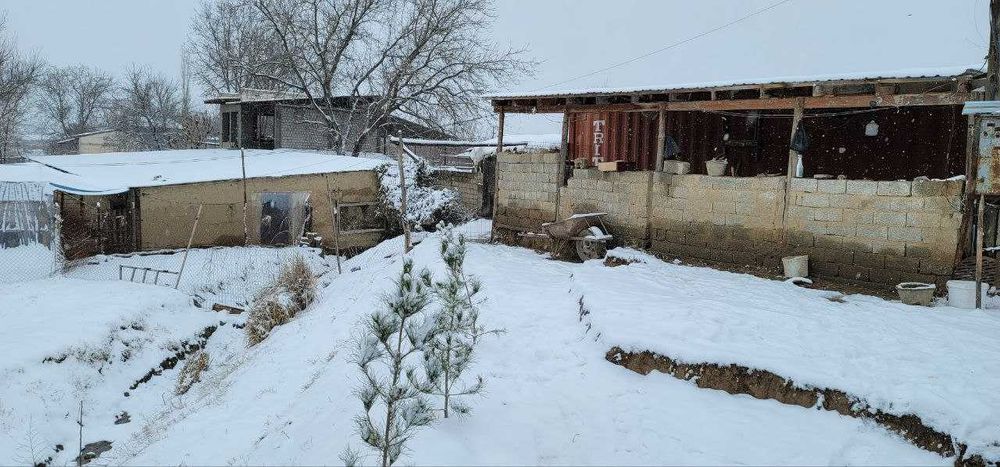 Ishlab chiqarish va qo‘ziqorin yetishtirish uchun qulay joy