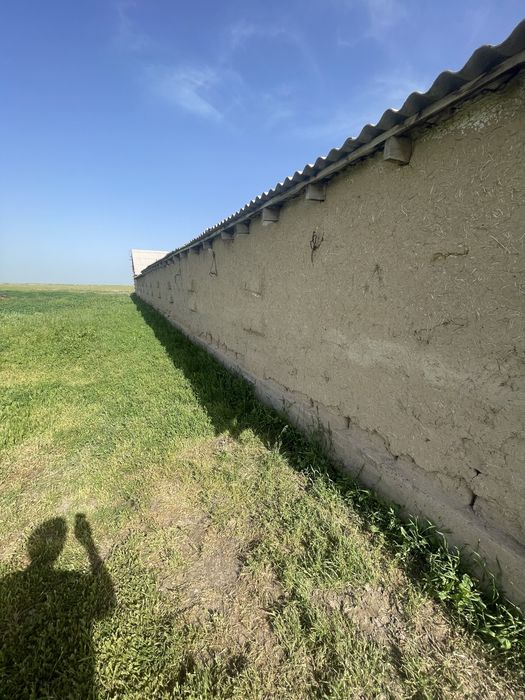 Продам Фазенду