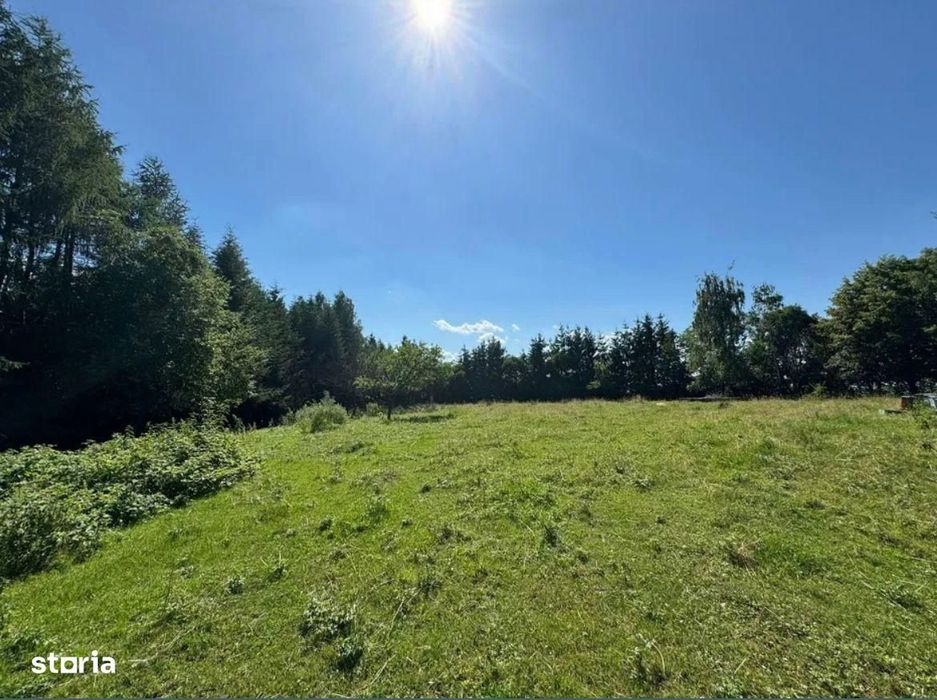 Teren intravilan 5.755 mp | Zona Muzeul Satului Maramuresean, Sighetu