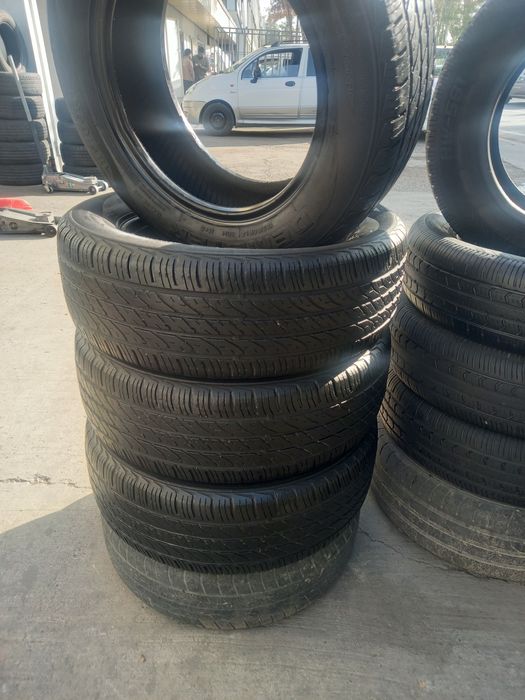 Avto shina demeter 14 bu