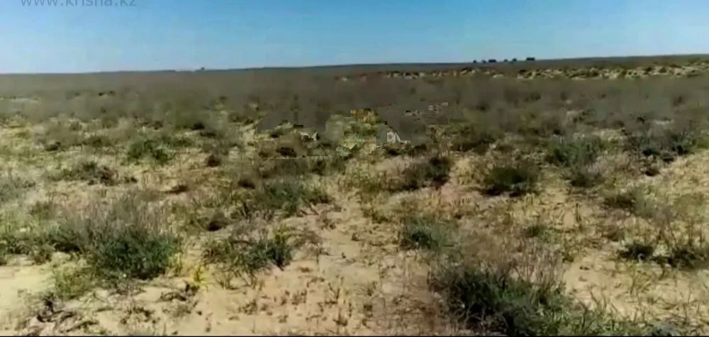 Жер орын мал шаруашылығына