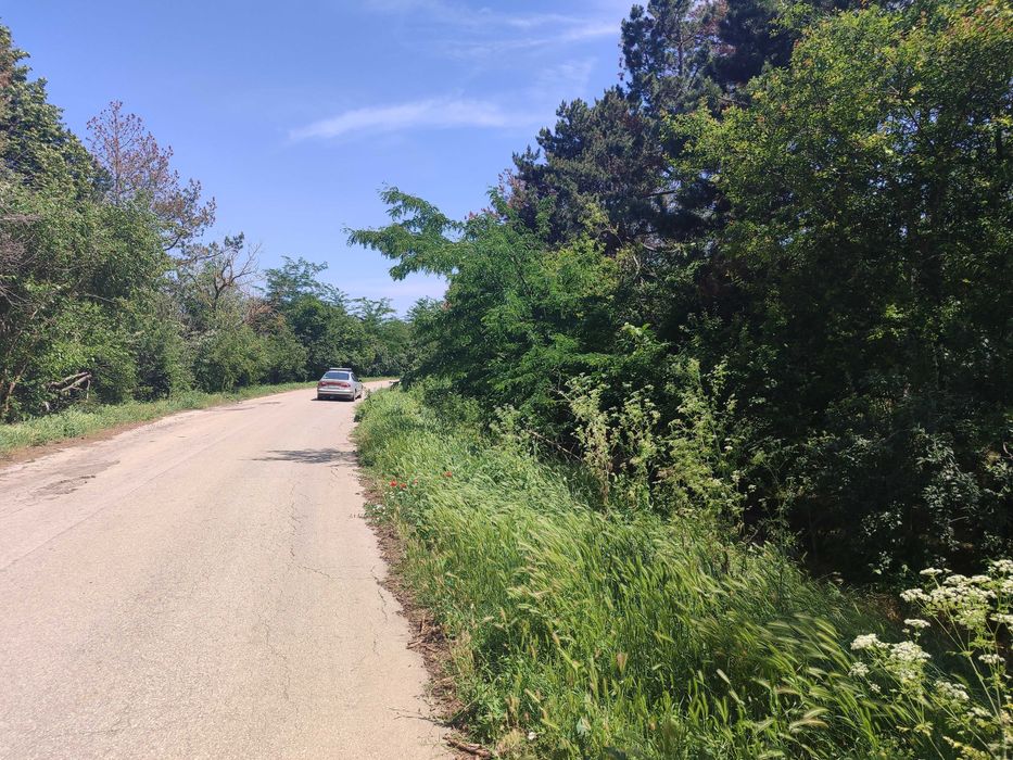 Продава се Парцел в с. Бежаново, Област Добрич - 1750 кв.м за 3 €/кв.м - Снимка #3