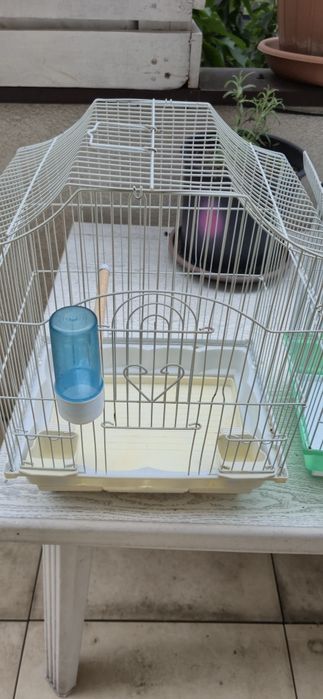 Vând 3 colivii pentru păsări (peruși, canari, zebre australiene)