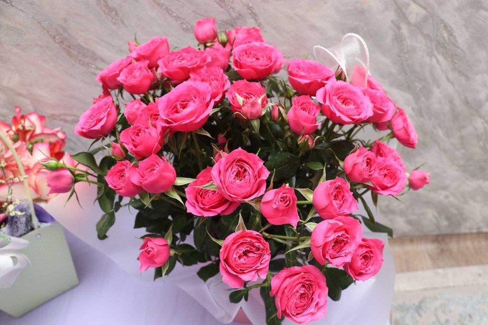 цветы кустовые розы