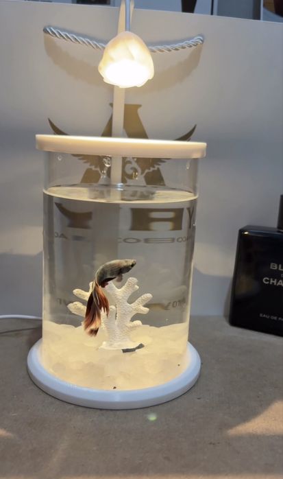 Аквариум – Үйіңізге Әсемдік Қосыңыз!